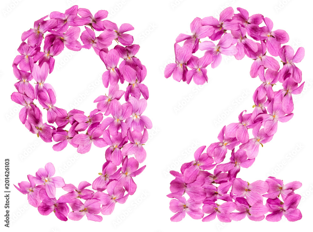 Arabic numeral 92, ninety two, from flowers of viola, isolated on white background