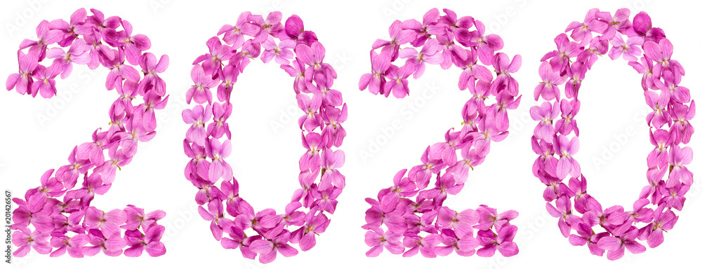 Numeral 2020 from flowers of viola, isolated on white background