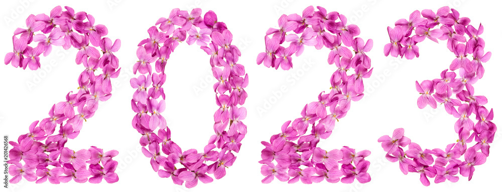 Numeral 2023 from flowers of viola, isolated on white background