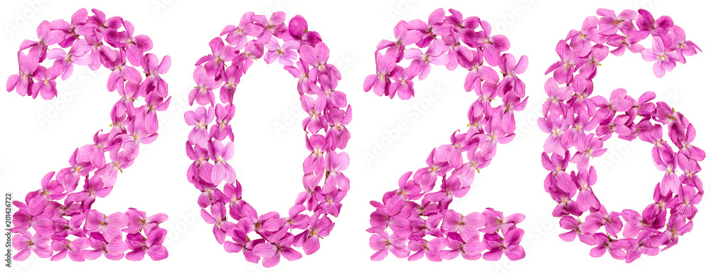 Numeral 2026 from flowers of viola, isolated on white background