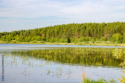 Lake Komlevo, the Kaluzhskaya Region, Russia 