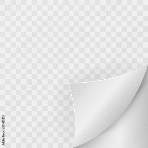 Realistic white curled corner with shadow on transparent background. Vector illustration.