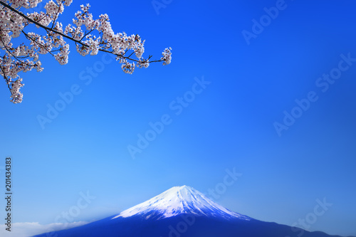 青空バックの富士山と桜の花
