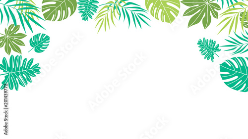 Tropical leaves on transparent background. Flat style vector design.  Top view, frame and copy space for text.