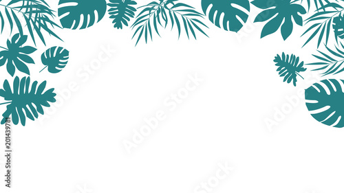 Shadow of tropical leaves on transparent background. Flat style vector design.  Top view, frame and copy space for text.