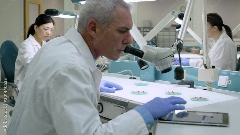 Doctor examining samples through a microscope Doctor examining samples through a microscope