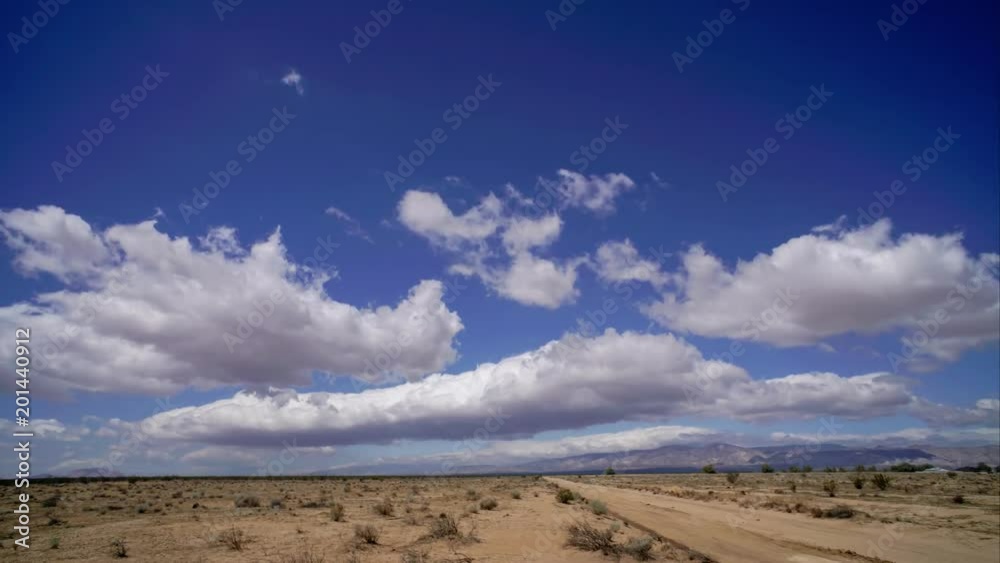 Desert Landscapes