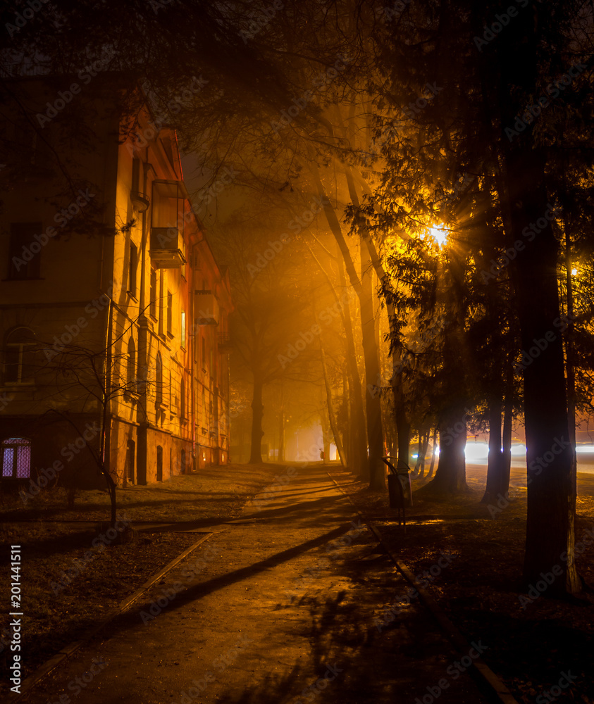 A beautiful footpath in the evening in the city during the fog
