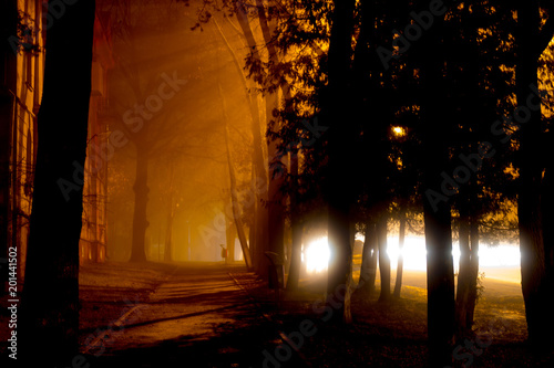 A beautiful footpath in the evening in the city during the fog 