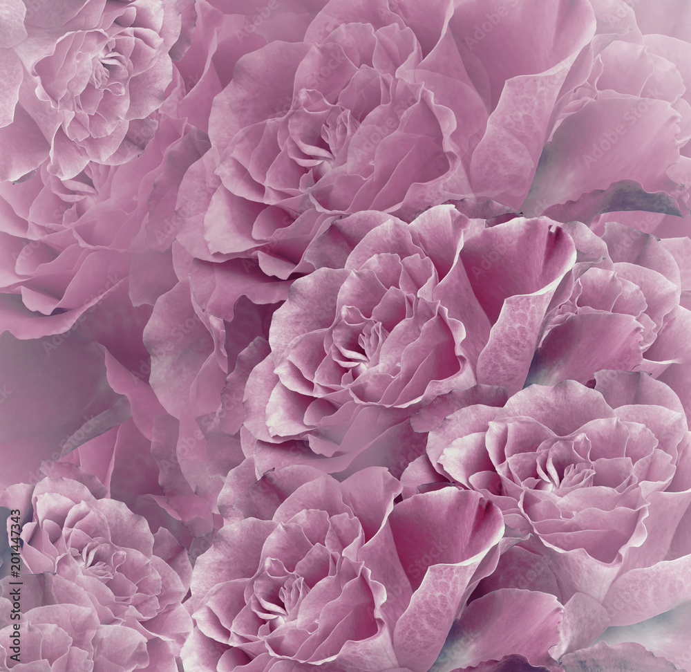 Floral pink-white beautiful background. Flower composition. Bouquet of flowers from pink roses. Close-up. Nature. Floral pink-white beautiful background. Flower composition. Bouquet of flowers from pink roses. Close-up. Nature.
