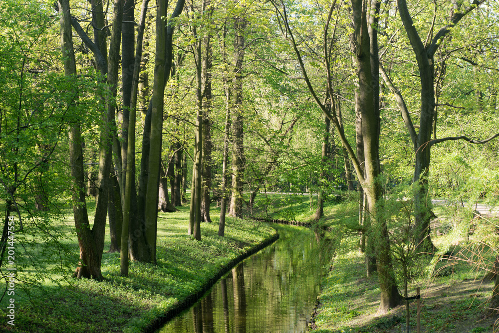 Obraz premium spring park with water channel