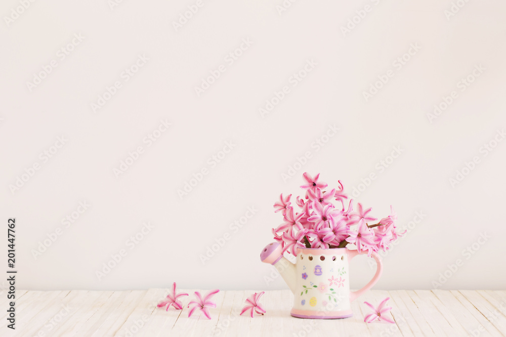 Fototapeta premium fresh flowers, hyacinth on a white background