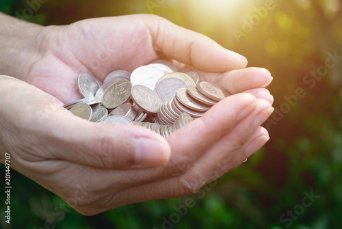 hand holding coins with tree under sunshine and gardening green background.