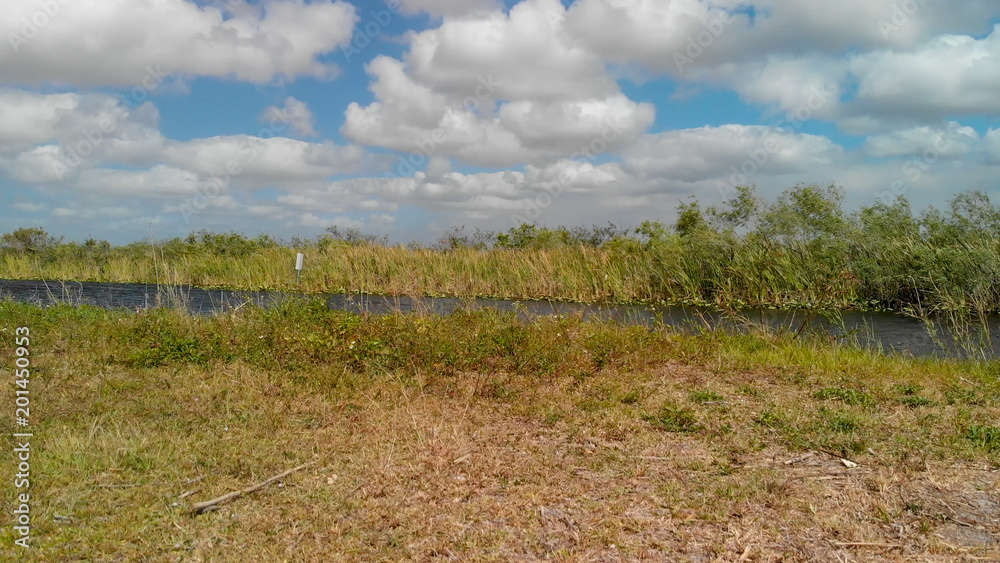 Aerial view of Everglades landscape, Florida