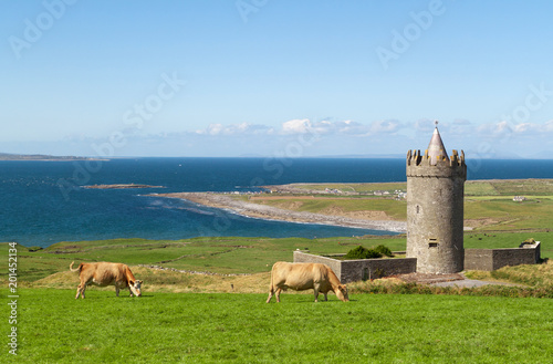 Doonagore castle with Irish cows in Doolin - Ireland