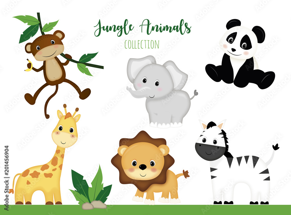 jungle animals jungle animals