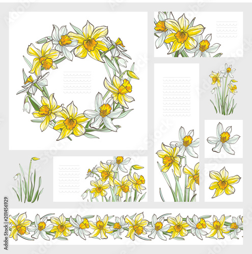 Banners - Daffodil flowers, isolated on white background. Hand-drawn illustrations. photo