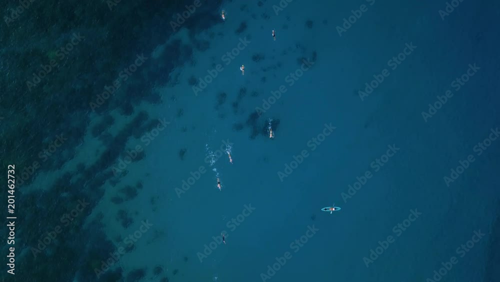 Drone view of Group of swimmers training triathlon swim part, Kailua-Kona, Hawaii. USA Drone view of Group of swimmers training triathlon swim part, Kailua-Kona, Hawaii. USA
