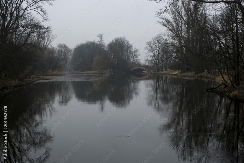 Rainy mood landscape fog trees road Rainy mood landscape fog trees road
