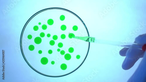 Chemical research in Petri dish. Laboratory pipette with green liquid.