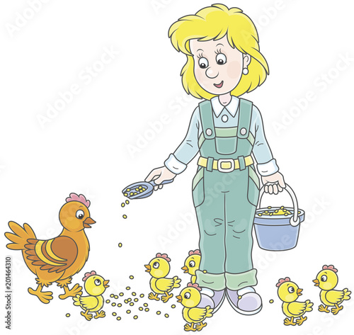 Friendly smiling poultry woman feeding her hen and small chicks on a poultry farm, vector illustration in a cartoon style