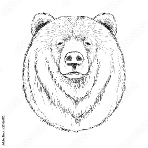 Outline hand-drawing animal head vector logo icon illustration
