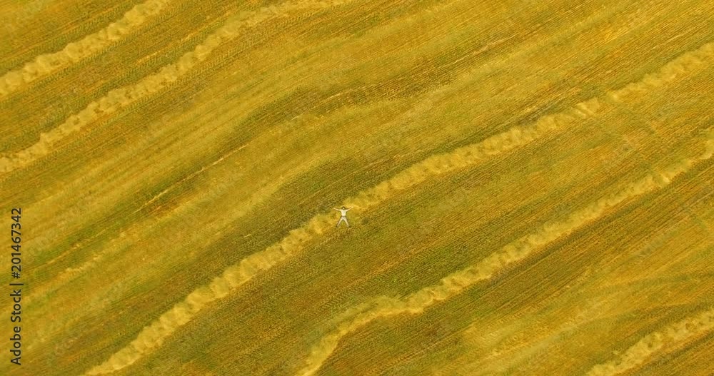 Aerial UHD 4K view. Vertical motion flight over formalwear man lying on yellow wheat field at sunny summer day. Top view on handsome relaxing man. Aerial UHD 4K view. Vertical motion flight over formalwear man lying on yellow wheat field at sunny summer day. Top view on handsome relaxing man.