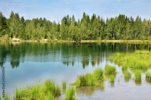 Fototapeta Naklejka Na Ścianę i Meble -  The forest on the shore of lake