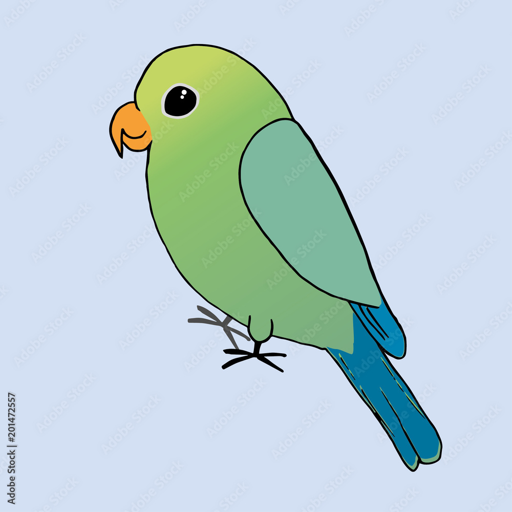 How To Draw a Parrot (Step by Step Pictures) | Cool2bKids | Parrot drawing,  Bird drawings, Parrots art