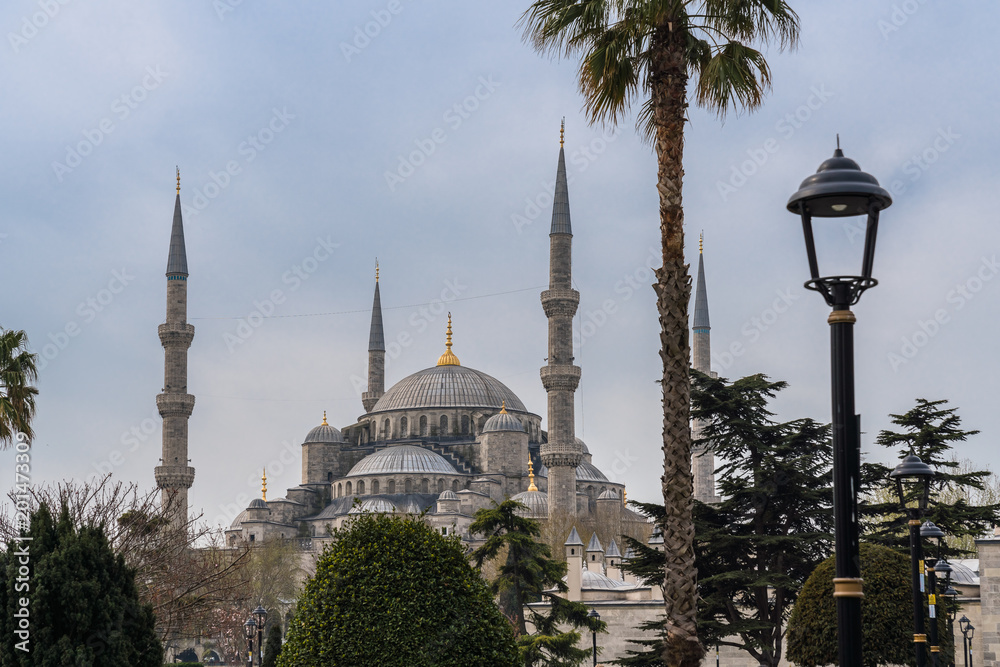 Obraz premium Hagia Sophia ,turkey