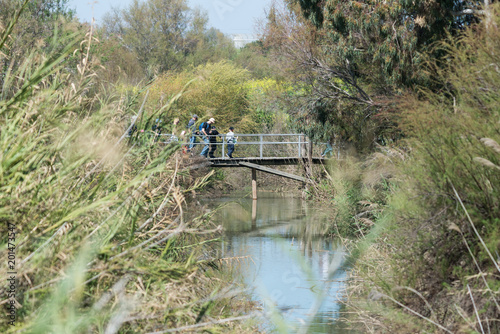 At Ein Afek Nature Reserve photo