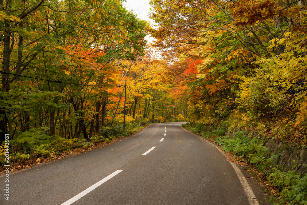Mountain road at Hachimantai area in autumn season. Mountain road at Hachimantai area in autumn season.