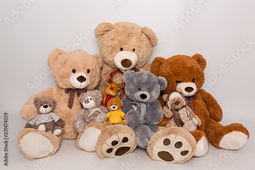 Osos de peluche de diferentes colores y tamaños.