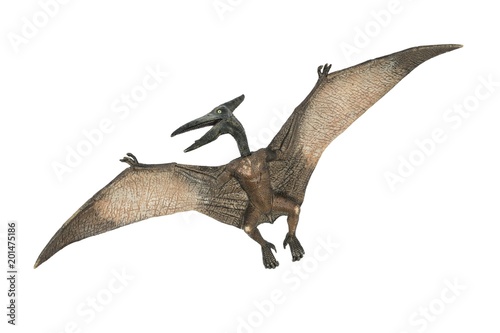 Flying pterodactyl dangerous creature of Jurassic period photo