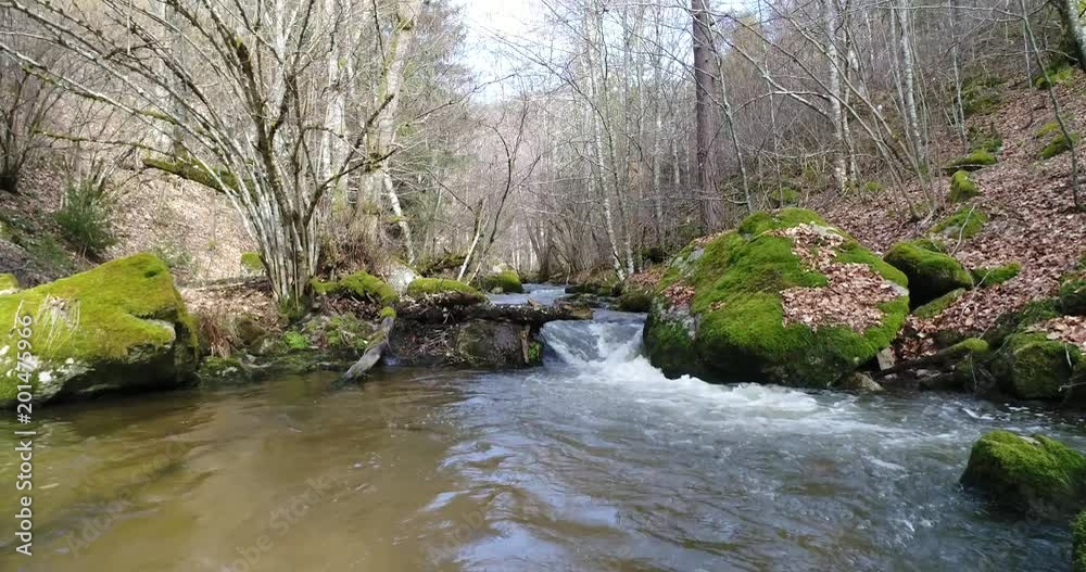 rivière dans une forêt en France