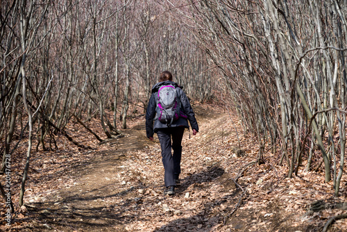 Woman with backpack walking in forest