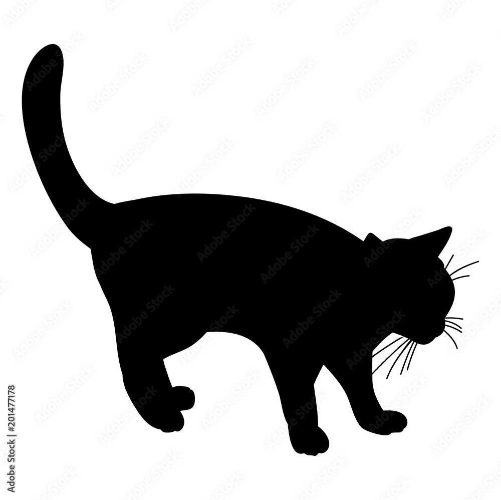 vector, isolated, icon, silhouette cat