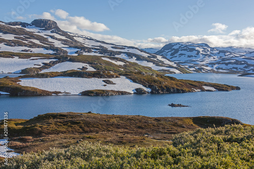 Majestic view of a mountain plateau Hardangervidda with snow mounts and river in summer time  Norway national park
