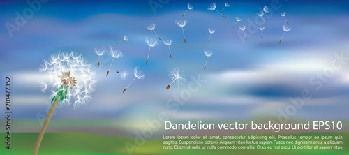 dandelion blur clouds