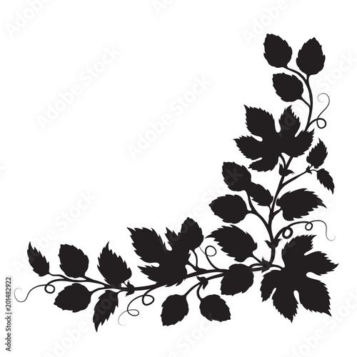 Hops cones and flowers with leaves