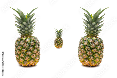 Pineapple isolated on white background. Pineapple sweet and colorful © bibi75