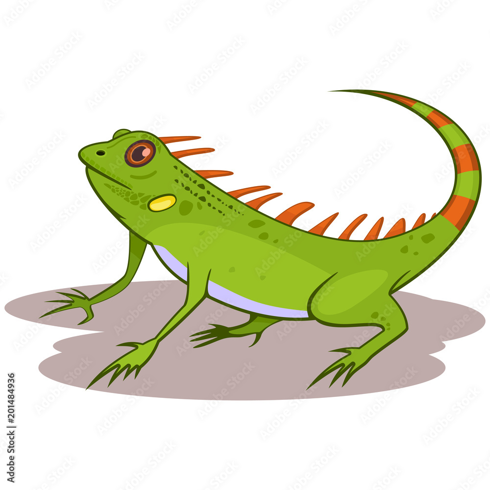 Fototapeta premium Iguana reptile cartoon vector illustration isolated on white background.