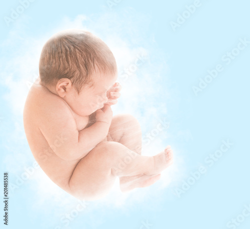 Canvas-taulu Newborn Baby Fetus, New Born Child Sleep in Embryo Pose, Unborn Kid over Blue Ba