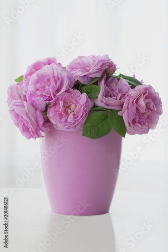 Pink roses