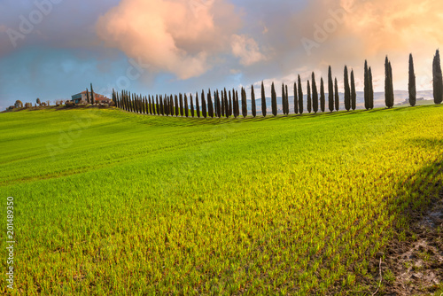Tuscany landscape at spring. Italy