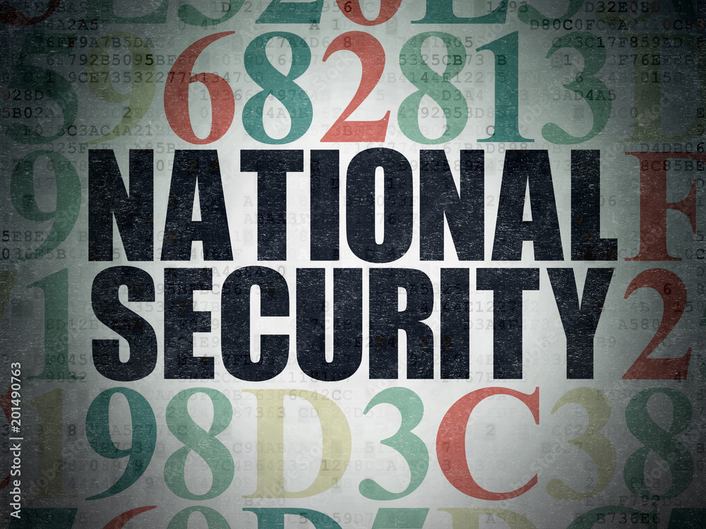 Fototapeta premium Security concept: Painted black text National Security on Digital Data Paper background with Hexadecimal Code