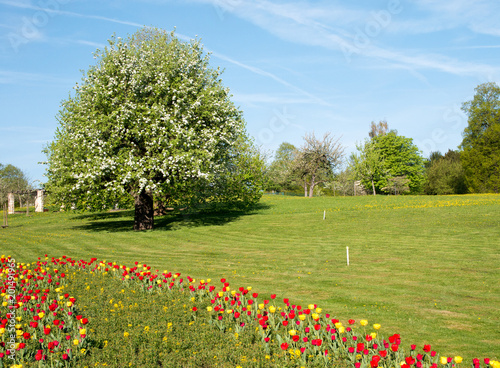 fruehling