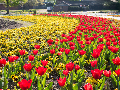 fruehling