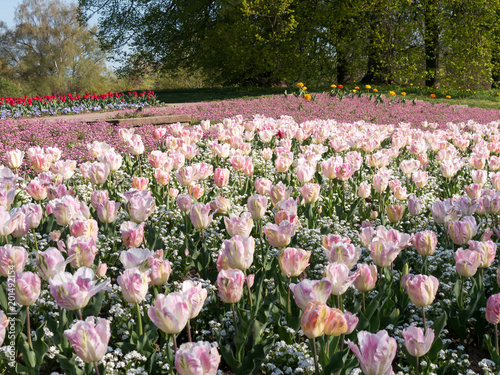 fruehling