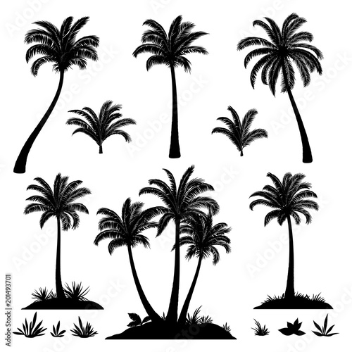 Set Palm Trees, Exotic Landscapes, Tropical Plants and Grass Black Silhouettes Isolated on White Background. Vector